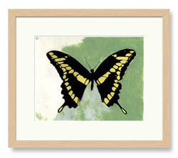 Butterflies Art Yellow & Black